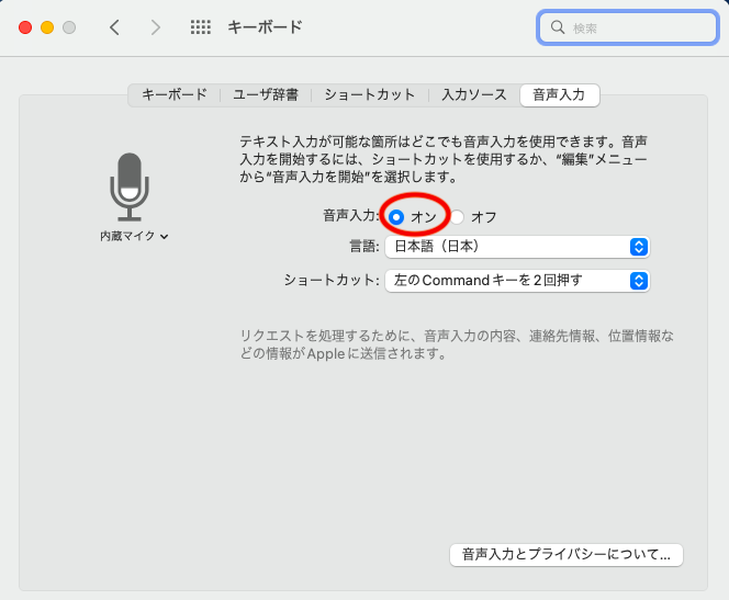 音声入力を「オン」にします。